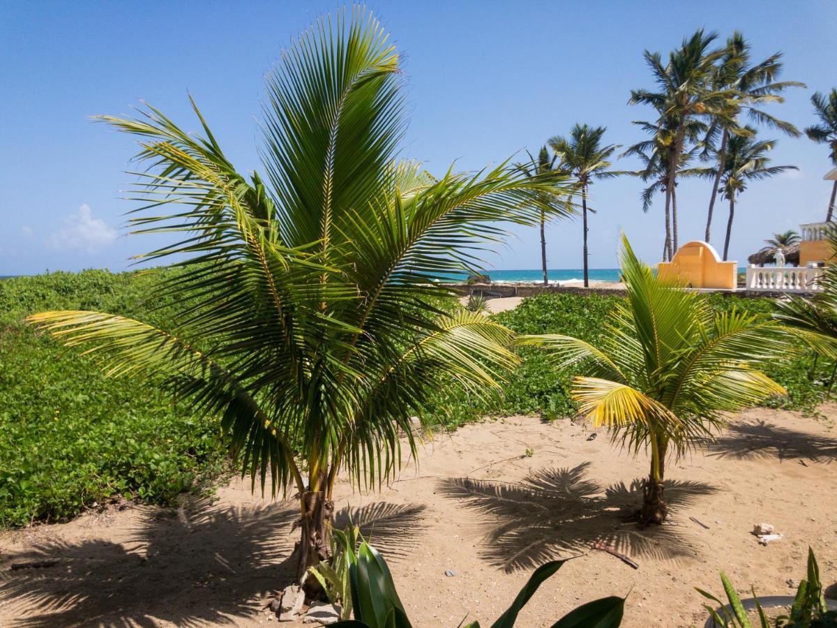 Residencial Mananero Apartment Cabarete Exterior photo